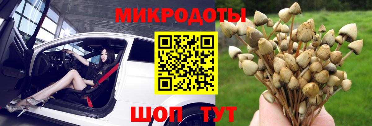 Мытищи  купить наркоту  Вход с VPN  Галлюциногенные грибы прущие грибы  Галлюциногенные грибы ЛСД 